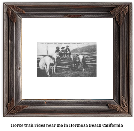 horse trail rides near me in Hermosa Beach, California